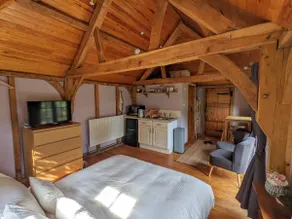 Cabin in the Forest - Image 5