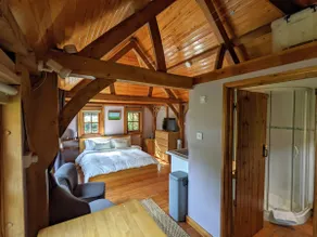 Cabin in the Forest - Image 3