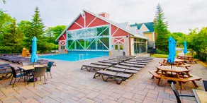 Adjoining 1-Bedroom + Studio Condos near Horseshoe - Image 5