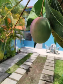 Equipped family home in La Tampiquera - Image 3