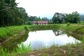 Giridharshini Homestay - Image 5