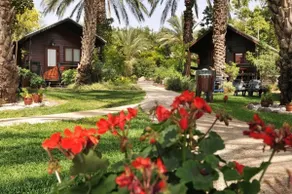 Beket Batamirim - Family Wooden Cabins - Image 3