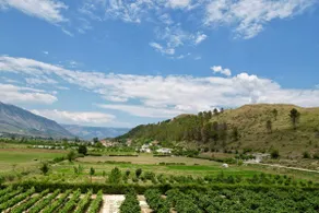 Bungalow in a Vineyard - Image 4