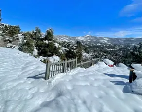 Gateway to Yosemite-Gorgeous mountain view cottage - Image 3