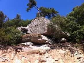Great stay & beautiful trails - Image 2