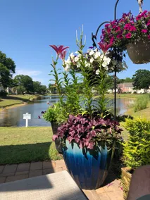 “Wonderful place to stay” pond view + pool - Image 2