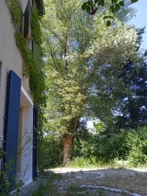 Ground floor, riverside, view of Vercors - Image 4