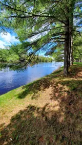 The Great Outdoors Riverfront Log Cabin Escape - Image 3