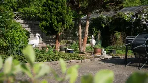 Amazing villa with garden - Image 2