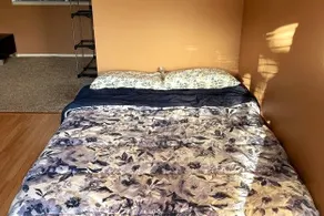 Adorable Guesthouse in the Bay Area with Free Wifi - Image 5
