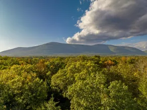 Cozy Catskills Cabin - Image 5