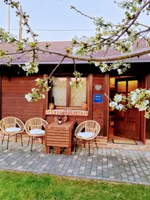 Buteo-guest house in the city center with a yard - Image 3