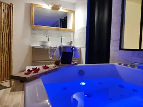 4* townhouse in Vichy, private Balneo SPA - Image 2
