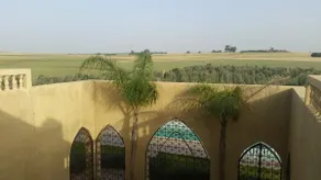 Beautiful Country Villa-Riyadh with Pool - Image 3
