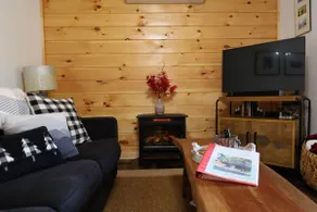 Cabin at the cove at Watauga Lake - Image 4
