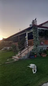 Ivonnis Garden 120m from Dikella Beach Denize & BBQ - Image 4