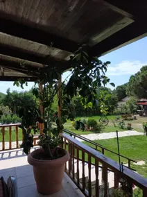 Ivonnis Garden 120m from Dikella Beach Denize & BBQ - Image 5