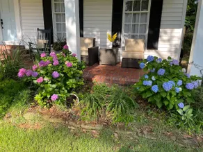 Belhaven Beauty in quiet area close to everything. - Image 4