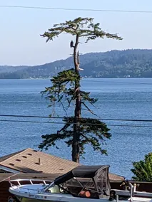 Charming Guemes Island Getaway w/ Hot Tub & View - Image 3