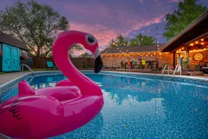 Design-Inspired & Whimsical Home w/ pool - Image 5