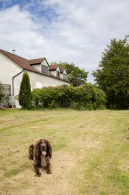 Batney Farm Cottage, Meshaw, South Molton - Image 2