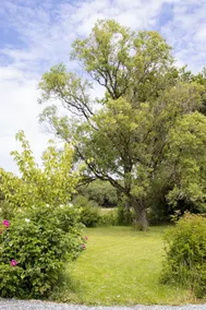 Batney Farm Cottage, Meshaw, South Molton - Image 3
