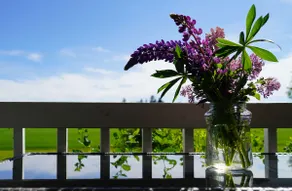 Cozy private cottage with picturesque scenery - Image 3