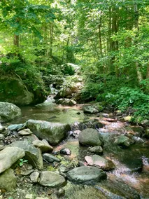 Whimsical Creekside Cabin - Image 2