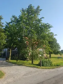Complete front house of a farm ”De HERDERIJ” - Image 2