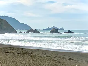 Twenty minutes to SF, one block to beach, fire pit - Image 5