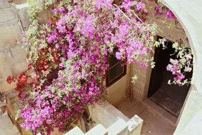Romantically Charming, 1 bedroom Farmhouse. - Image 3