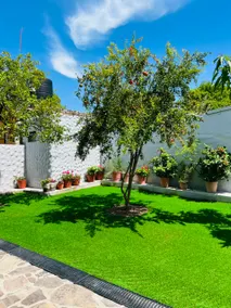 Ibarra Residence - Image 5