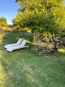 Quiet annex in the green of Upper Brianza. - Image 2