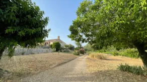 Cotignac, comfortable home surrounded by vineyards. - Image 2