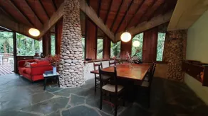 Casa Tiê-Sangue, a refuge in the middle of the Atlantic forest - Image 3