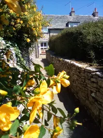 Willow Tree cottage. - Image 3