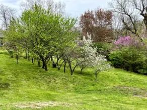 Riverview Orchard 1: Mississippi River & Dam View - Image 3