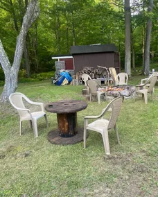 Peaceful 3-Bedroom Cabin in Spring Run - Image 5