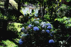 Riacho Doce Station - Hortênsia Chalet - Image 5