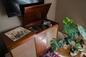 Harrison's Hideaway - Mid-Century in Merriam Park - Image 4