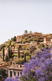 Ca'n Roig - Image 2