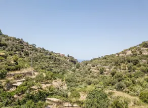 Ca'n Roig - Image 5
