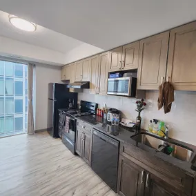 Entire Apartment in Waterloo w/ In Unit Laundry - Image 3