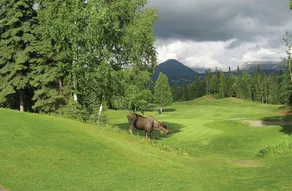 2 Bedroom 2 Bathroom Home Near Anchorage Golf Course and Zoo - Image 5