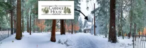Pristine Wooded Retreat/Near Sky Park - Image 2