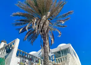 Blue Sapphire Artist home Sea view - Image 3