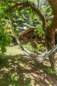 Craftsman Cabin in Redwood Retreat Setting - Image 2
