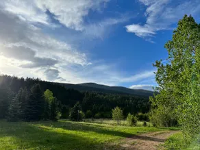 Cozy Creekside Cabin in La Veta: Hike & Fish! - Image 3