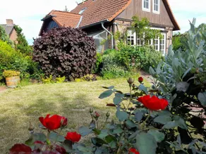 Vacation home in direct lake proximity, fireplace, garden - Image 3