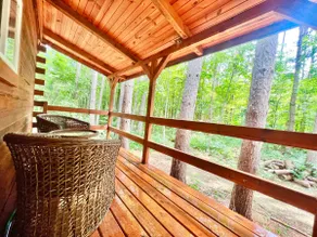 Peaceful Cabin in the woods - Image 5